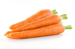 carrot