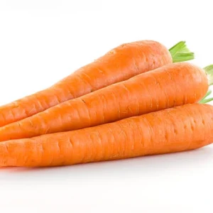 carrot