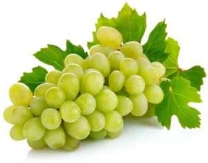 grapes green