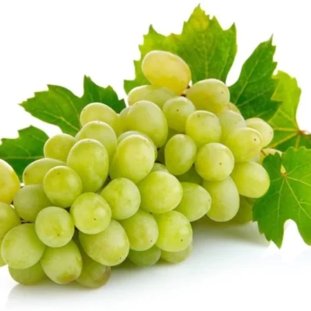 grapes green