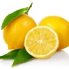 lemon